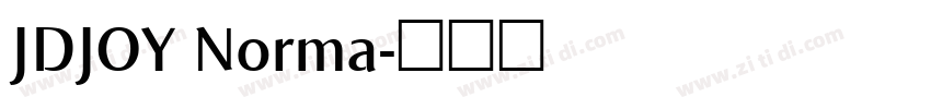 JDJOY Norma字体转换